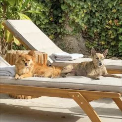 Beliani Ligstoel Acaciahout Taupe CESANA 19 Beliani Ligstoel Acaciahout Taupe CESANA -Exporteren Stoelen Winkel undef src sa picid 848159 type whitesh image scaled